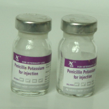 Показания и противопоказания к проведению кожных проб с пенициллином