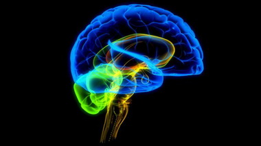 Первичные патогенетические факторы при повреждениях мозга