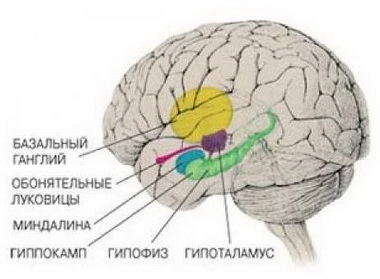 Мозжечково-тенториальное вклинение 