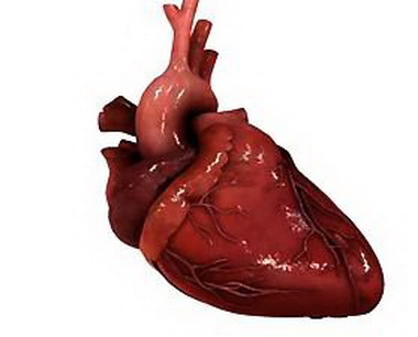 Диагностика ишемических поражений сердца 